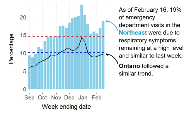 Graph showing the percentage of emergency visits in Northeast Ontario due to respiratory issues from September 2024 to the present. Levels rise from low (<10.1%) in September to high (>14.6%) by November, peaking at 23% in late December. They decline in early 2025 but remain high. Ontario follows a similar trend but with rates 5–10% lower, likely due to differences in healthcare access and use. As of February 16, 19% of emergency department visits in the Northeast were due to respiratory symptoms, remaining at a high level and similar to last week. Ontario followed a similar trend.